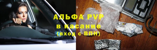 стафф Тобольск