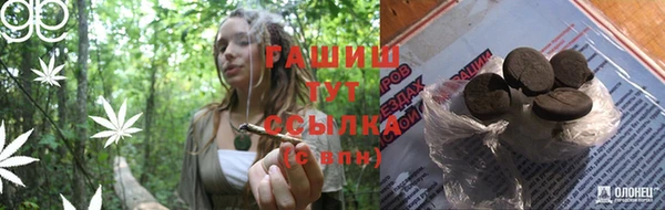 стафф Тобольск