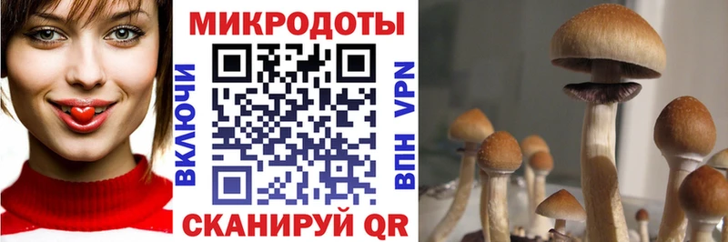 Купить где  Оханск  Галлюциногенные грибы ЛСД 